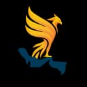 نوآوران همای جنوب